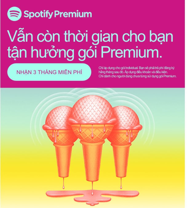 alt text: Ví dụ về email marketing của Spotify