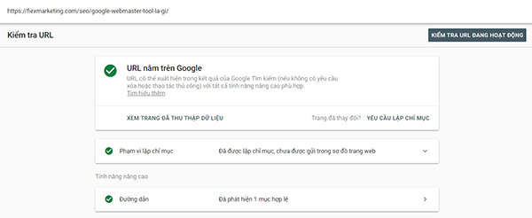 kiểm tra url Webmaster Tools