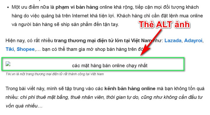 thẻ alt hình ảnh