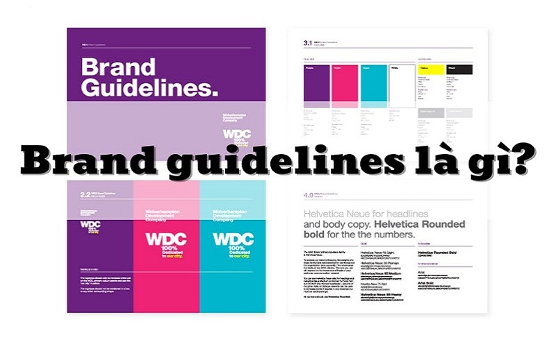 Guideline là gì? Vai trò và bí kíp xây dựng brand guidelines