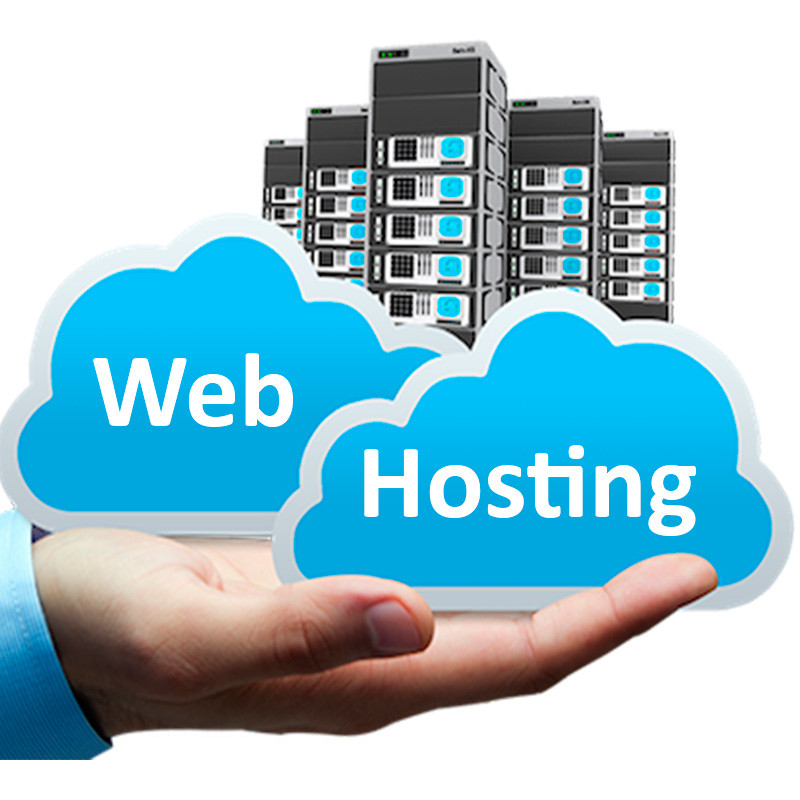 Cách kiểm tra hosting của website đơn giản nhất