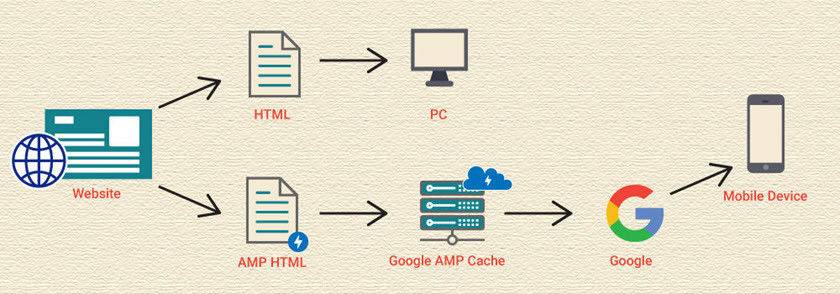 Lợi ích của AMP đối với SEO