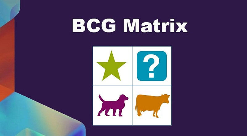 Ma trận BCG là gì? Phân tích BCG matrix và 5 bước ứng dụng