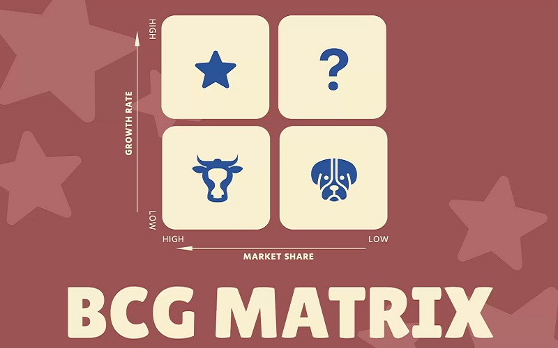 Ma trận BCG là gì? Phân tích BCG matrix và 5 bước ứng dụng