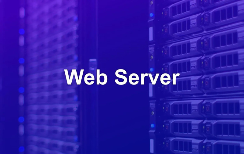 Web server là gì? Các loại web server thông dụng nhất hiện nay