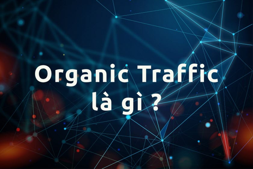 Organic Traffic Là Gì? Tại Sao Lại Cần Chú Trọng Vào Organic Traffic