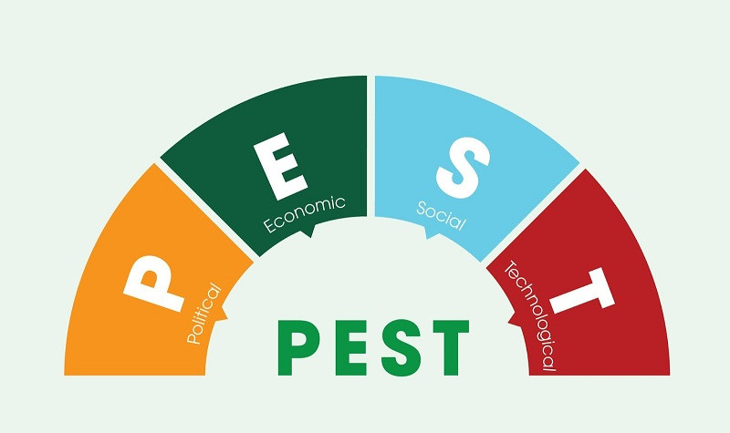 PEST là gì? Giải mã mô hình PEST và các ví dụ thực tiễn