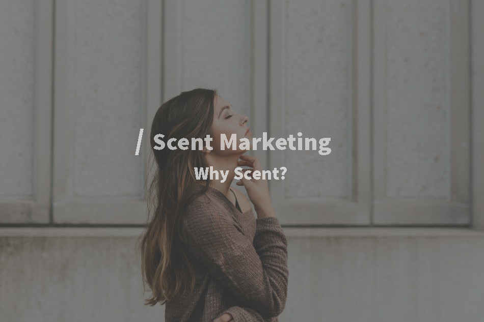 Scent marketing giúp xử lý mùi khó chịu