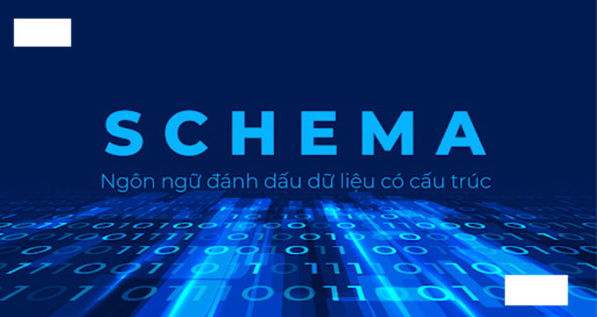 Schema Là Gì? Và Cách Cài Đặt Schema Vào WordPress Nhanh Chóng