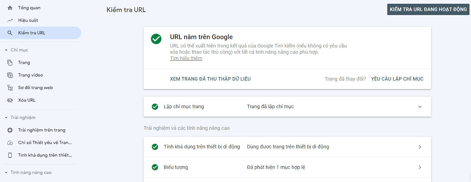 Hướng dẫn cách tạo tài khoản Google Search Console