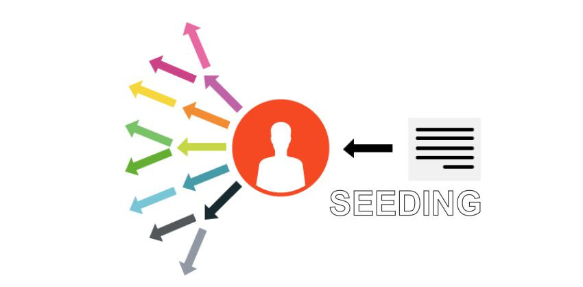 Seeding là gì? Tầm quan trọng của seeding trong các chiến dịch marketing của doanh nghiệp