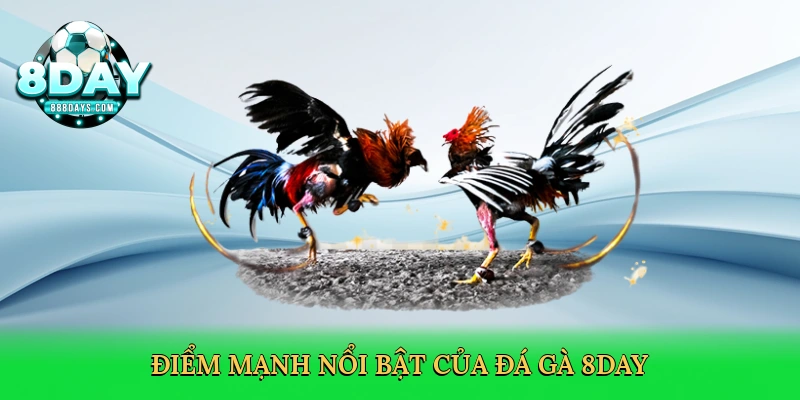 Đá Gà Online – Sân Chơi Kịch Tính Cùng Nhà Cái 8day