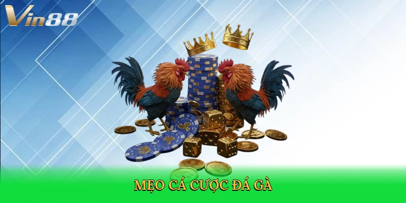 meo-ca-cuoc-da-ga-4