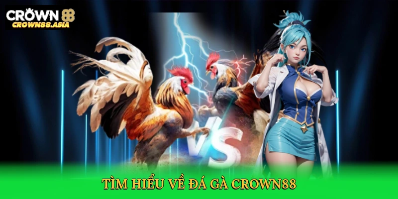 tim-hieu-ve-da-ga-crown88-2