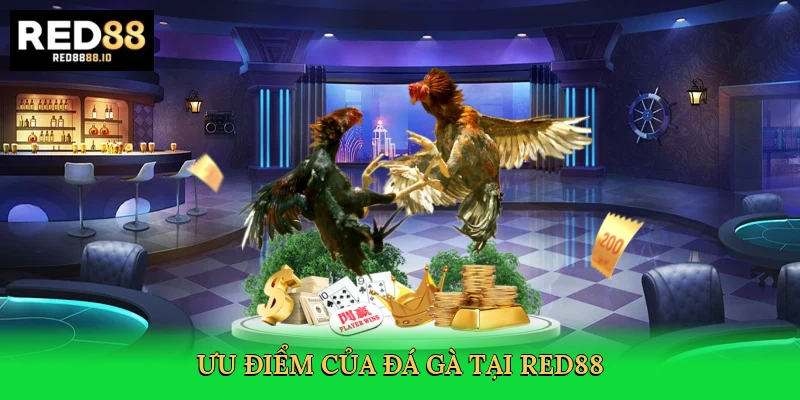 Đá Gà Red88 – Sân Chơi Kịch Tính, Nơi Đam Mê Bùng Cháy